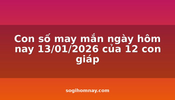 con-so-may-man-ngay-hom-nay-13012026-cua-12-con-giap