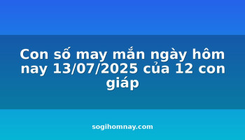 con-so-may-man-ngay-hom-nay-13072025-cua-12-con-giap