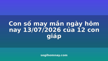 con-so-may-man-ngay-hom-nay-13072026-cua-12-con-giap