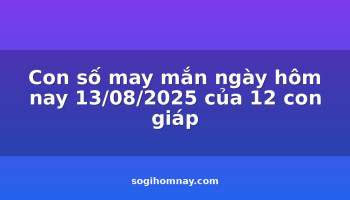 con-so-may-man-ngay-hom-nay-13082025-cua-12-con-giap
