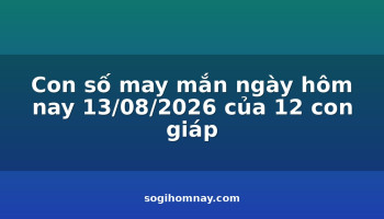 con-so-may-man-ngay-hom-nay-13082026-cua-12-con-giap
