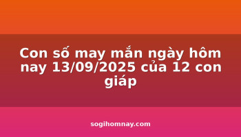 con-so-may-man-ngay-hom-nay-13092025-cua-12-con-giap