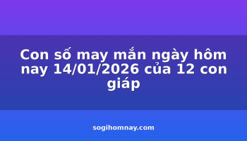con-so-may-man-ngay-hom-nay-14012026-cua-12-con-giap
