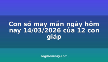 con-so-may-man-ngay-hom-nay-14032026-cua-12-con-giap