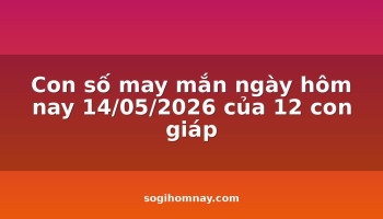 con-so-may-man-ngay-hom-nay-14052026-cua-12-con-giap