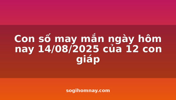 con-so-may-man-ngay-hom-nay-14082025-cua-12-con-giap