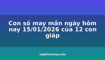 con-so-may-man-ngay-hom-nay-15012026-cua-12-con-giap
