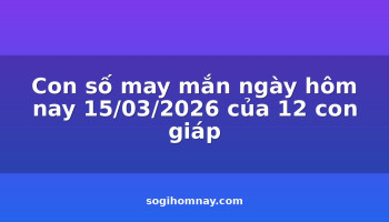 con-so-may-man-ngay-hom-nay-15032026-cua-12-con-giap