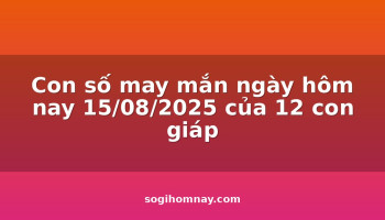 con-so-may-man-ngay-hom-nay-15082025-cua-12-con-giap