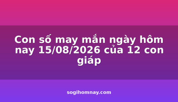 con-so-may-man-ngay-hom-nay-15082026-cua-12-con-giap