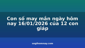 con-so-may-man-ngay-hom-nay-16012026-cua-12-con-giap