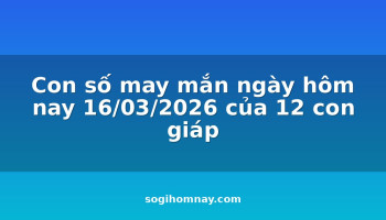 con-so-may-man-ngay-hom-nay-16032026-cua-12-con-giap