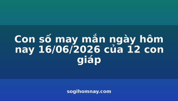 con-so-may-man-ngay-hom-nay-16062026-cua-12-con-giap