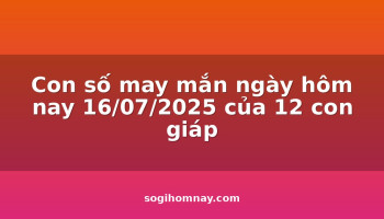 con-so-may-man-ngay-hom-nay-16072025-cua-12-con-giap