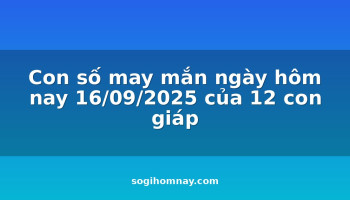 con-so-may-man-ngay-hom-nay-16092025-cua-12-con-giap