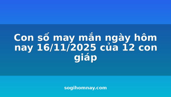 con-so-may-man-ngay-hom-nay-16112025-cua-12-con-giap