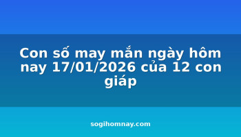 con-so-may-man-ngay-hom-nay-17012026-cua-12-con-giap
