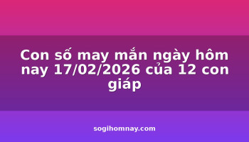 con-so-may-man-ngay-hom-nay-17022026-cua-12-con-giap