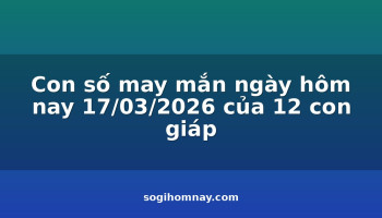 con-so-may-man-ngay-hom-nay-17032026-cua-12-con-giap