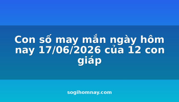 con-so-may-man-ngay-hom-nay-17062026-cua-12-con-giap