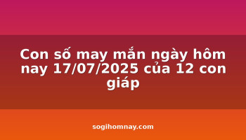 con-so-may-man-ngay-hom-nay-17072025-cua-12-con-giap