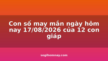 con-so-may-man-ngay-hom-nay-17082026-cua-12-con-giap