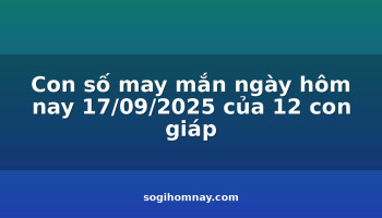 con-so-may-man-ngay-hom-nay-17092025-cua-12-con-giap