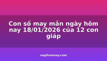 con-so-may-man-ngay-hom-nay-18012026-cua-12-con-giap