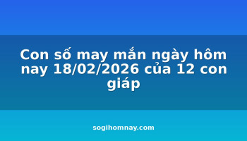 con-so-may-man-ngay-hom-nay-18022026-cua-12-con-giap