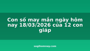 con-so-may-man-ngay-hom-nay-18032026-cua-12-con-giap