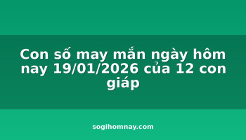 con-so-may-man-ngay-hom-nay-19012026-cua-12-con-giap