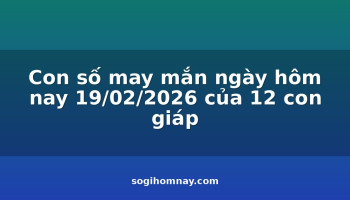 con-so-may-man-ngay-hom-nay-19022026-cua-12-con-giap