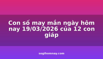con-so-may-man-ngay-hom-nay-19032026-cua-12-con-giap