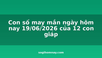 con-so-may-man-ngay-hom-nay-19062026-cua-12-con-giap