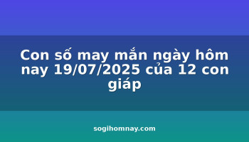 con-so-may-man-ngay-hom-nay-19072025-cua-12-con-giap