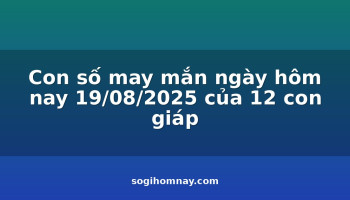 con-so-may-man-ngay-hom-nay-19082025-cua-12-con-giap