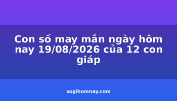 con-so-may-man-ngay-hom-nay-19082026-cua-12-con-giap