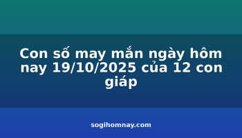 con-so-may-man-ngay-hom-nay-19102025-cua-12-con-giap