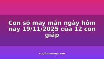 con-so-may-man-ngay-hom-nay-19112025-cua-12-con-giap