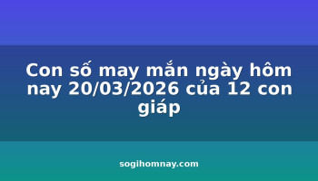 con-so-may-man-ngay-hom-nay-20032026-cua-12-con-giap