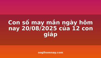con-so-may-man-ngay-hom-nay-20082025-cua-12-con-giap