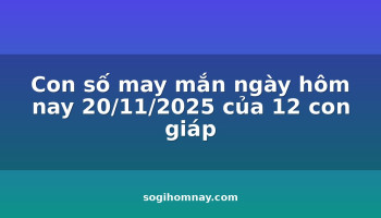 con-so-may-man-ngay-hom-nay-20112025-cua-12-con-giap