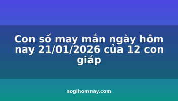 con-so-may-man-ngay-hom-nay-21012026-cua-12-con-giap