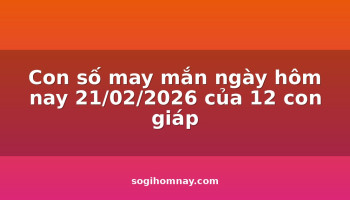 con-so-may-man-ngay-hom-nay-21022026-cua-12-con-giap