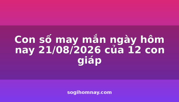 con-so-may-man-ngay-hom-nay-21082026-cua-12-con-giap