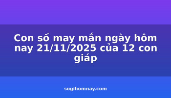 con-so-may-man-ngay-hom-nay-21112025-cua-12-con-giap