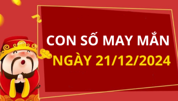 con-so-may-man-ngay-hom-nay-21122024-cua-12-con-giap