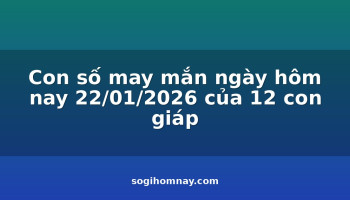 con-so-may-man-ngay-hom-nay-22012026-cua-12-con-giap