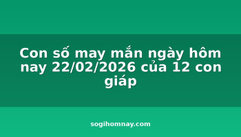 con-so-may-man-ngay-hom-nay-22022026-cua-12-con-giap