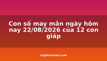 con-so-may-man-ngay-hom-nay-22082026-cua-12-con-giap